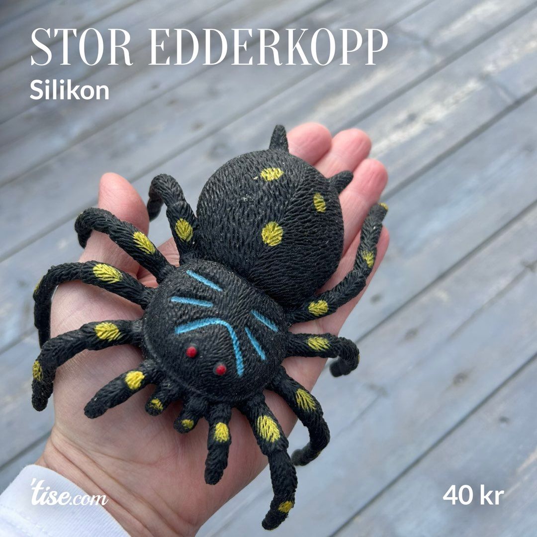 Stor edderkopp