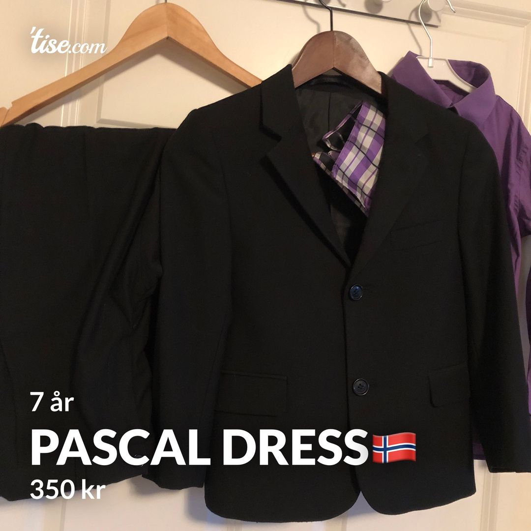 Pascal dress🇳🇴