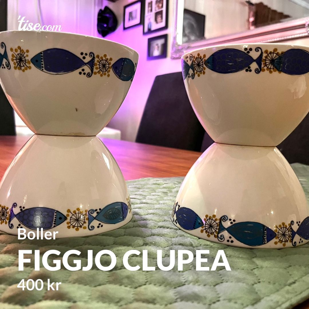 Figgjo clupea