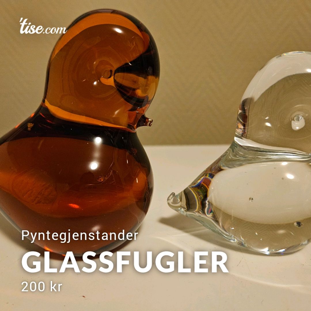 Glassfugler