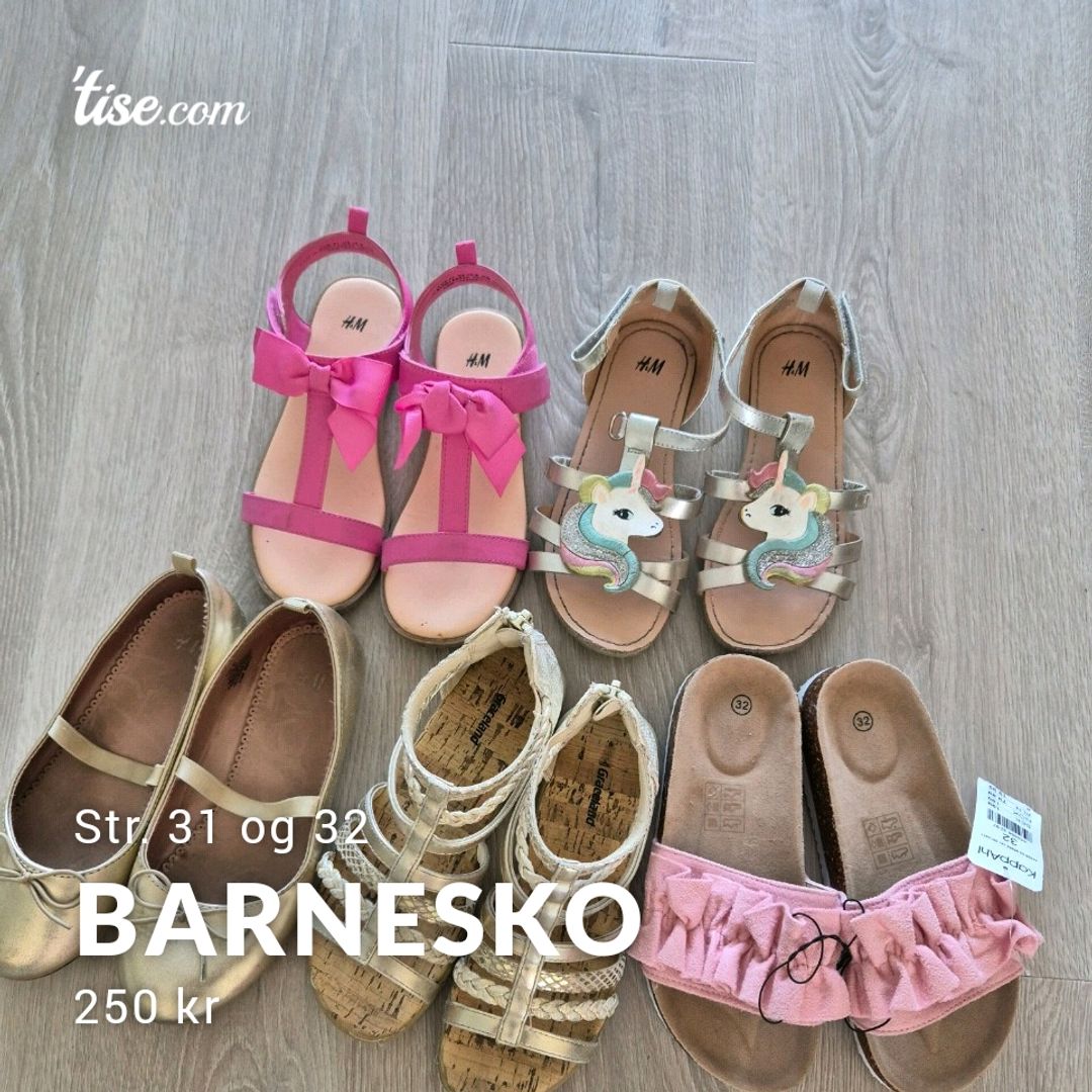 Barnesko