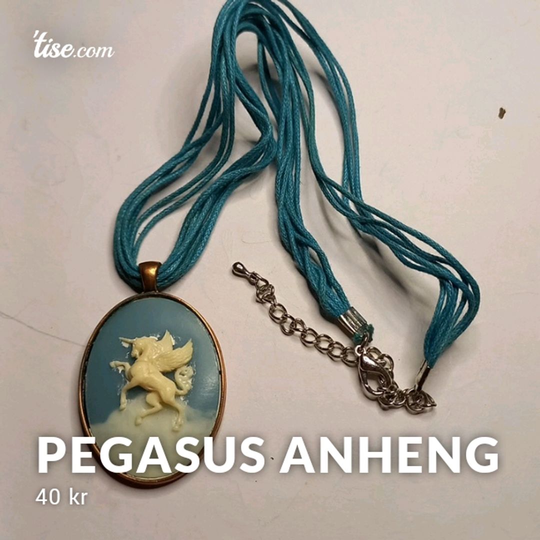 Pegasus Anheng