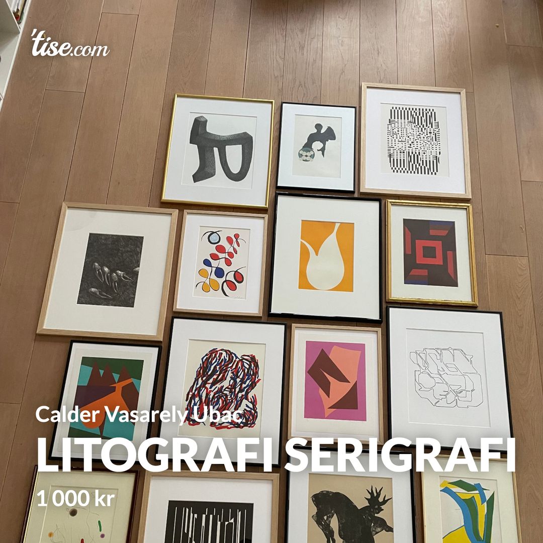 Litografi serigrafi