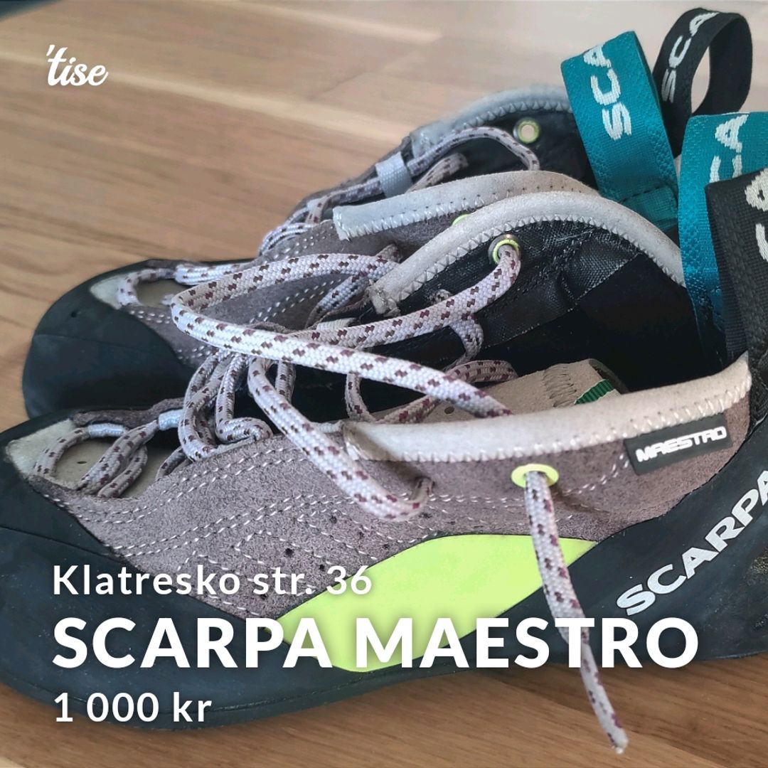 Scarpa Maestro