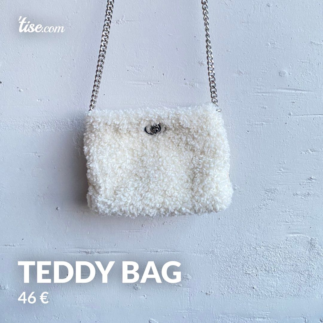 Teddy bag