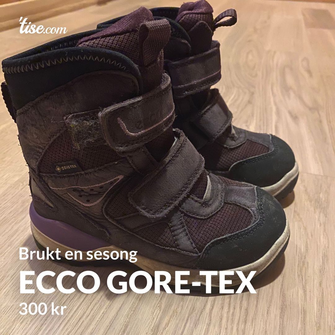 Ecco gore-tex