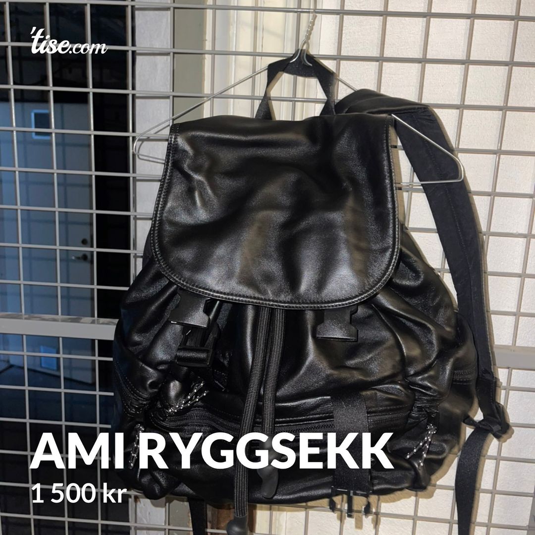 AMI RYGGSEKK