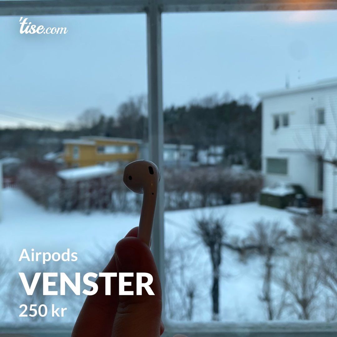 Venster