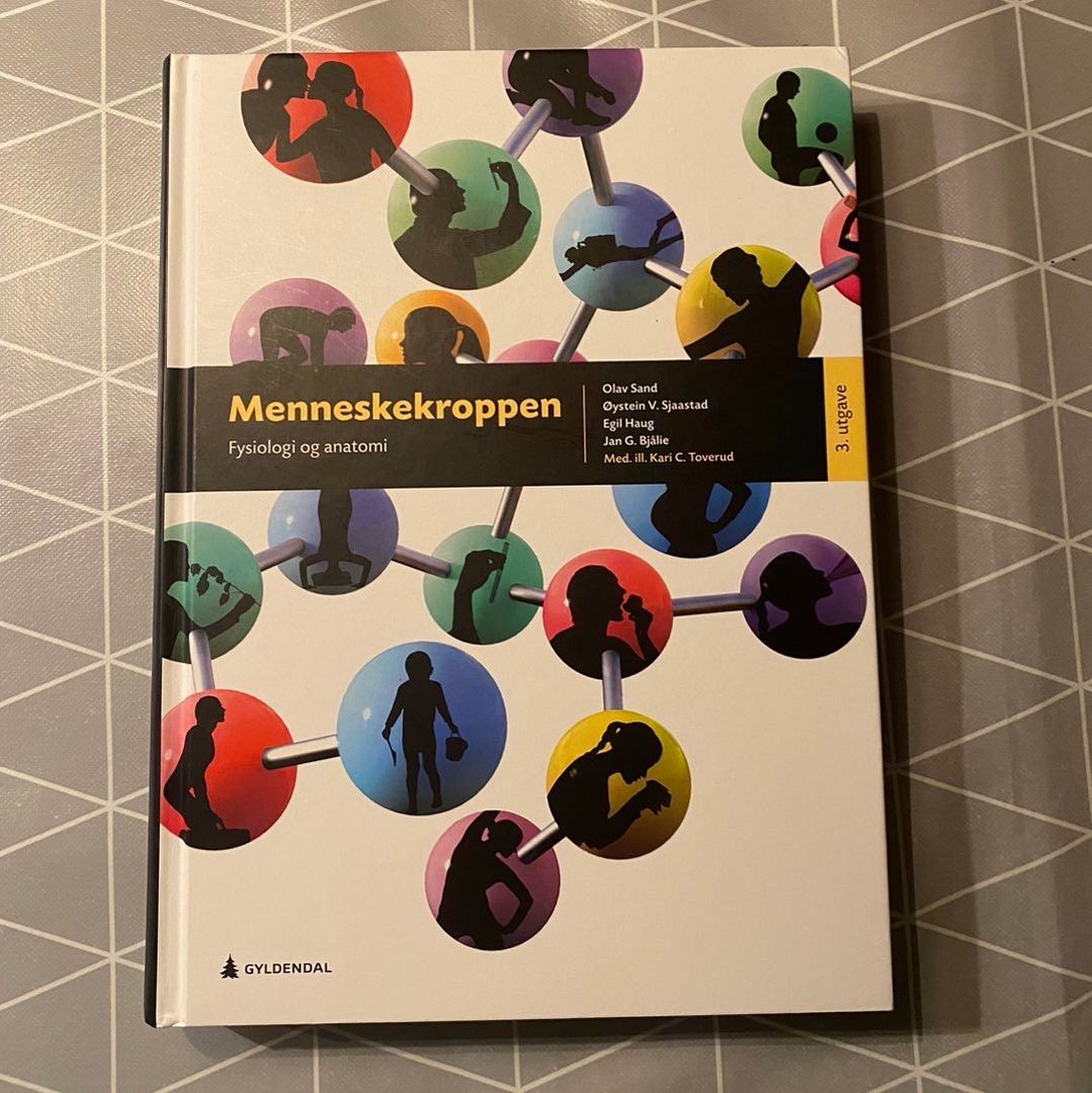 Menneskekroppen