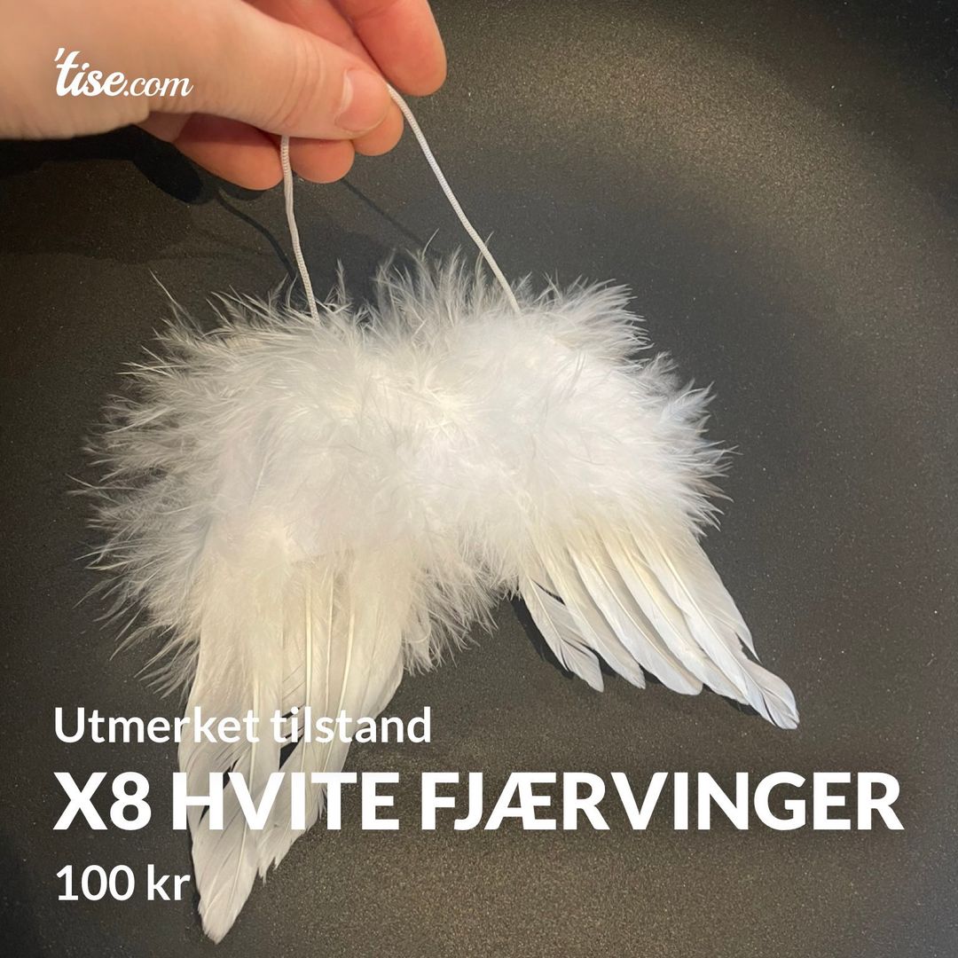 x8 hvite fjærvinger