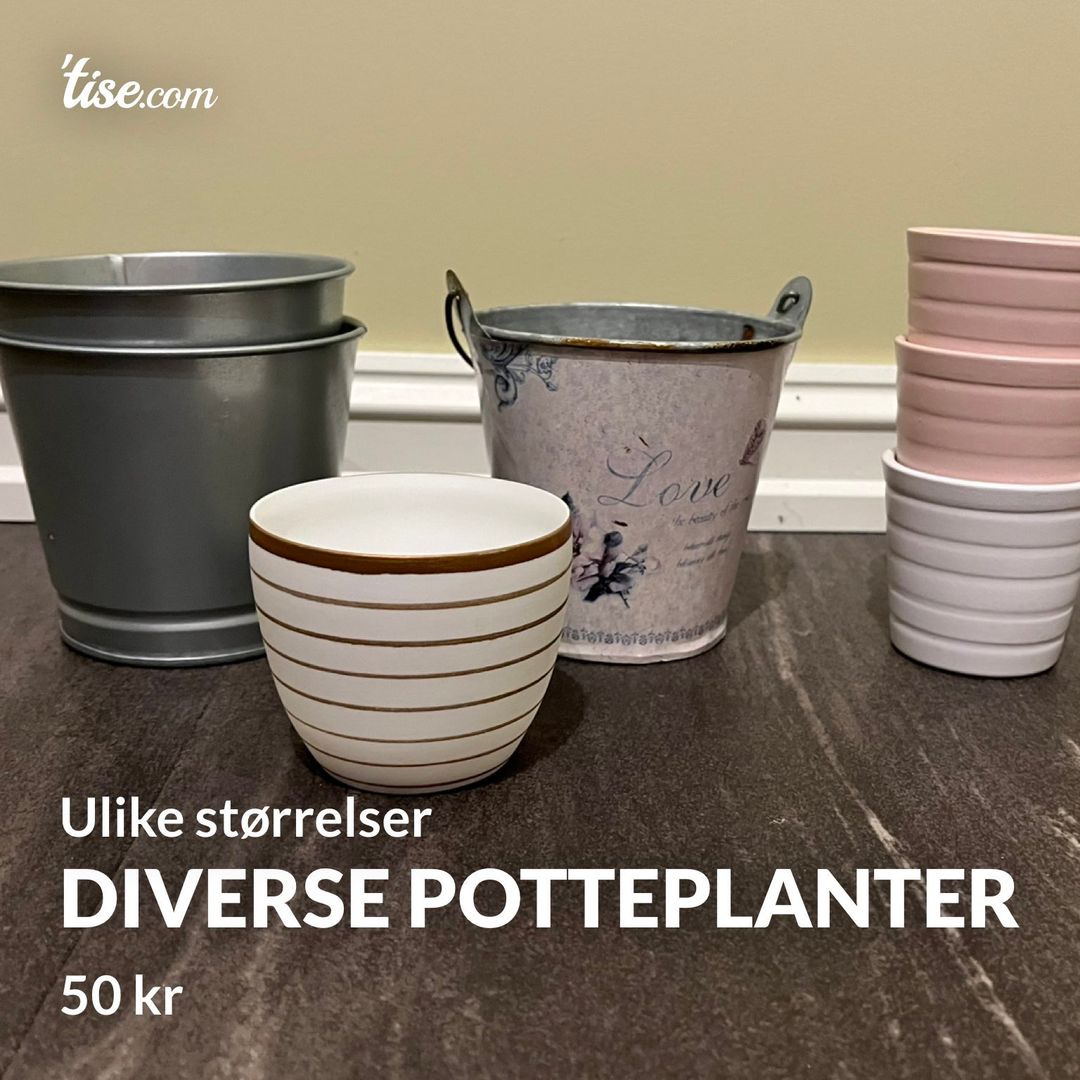 Diverse potteplanter