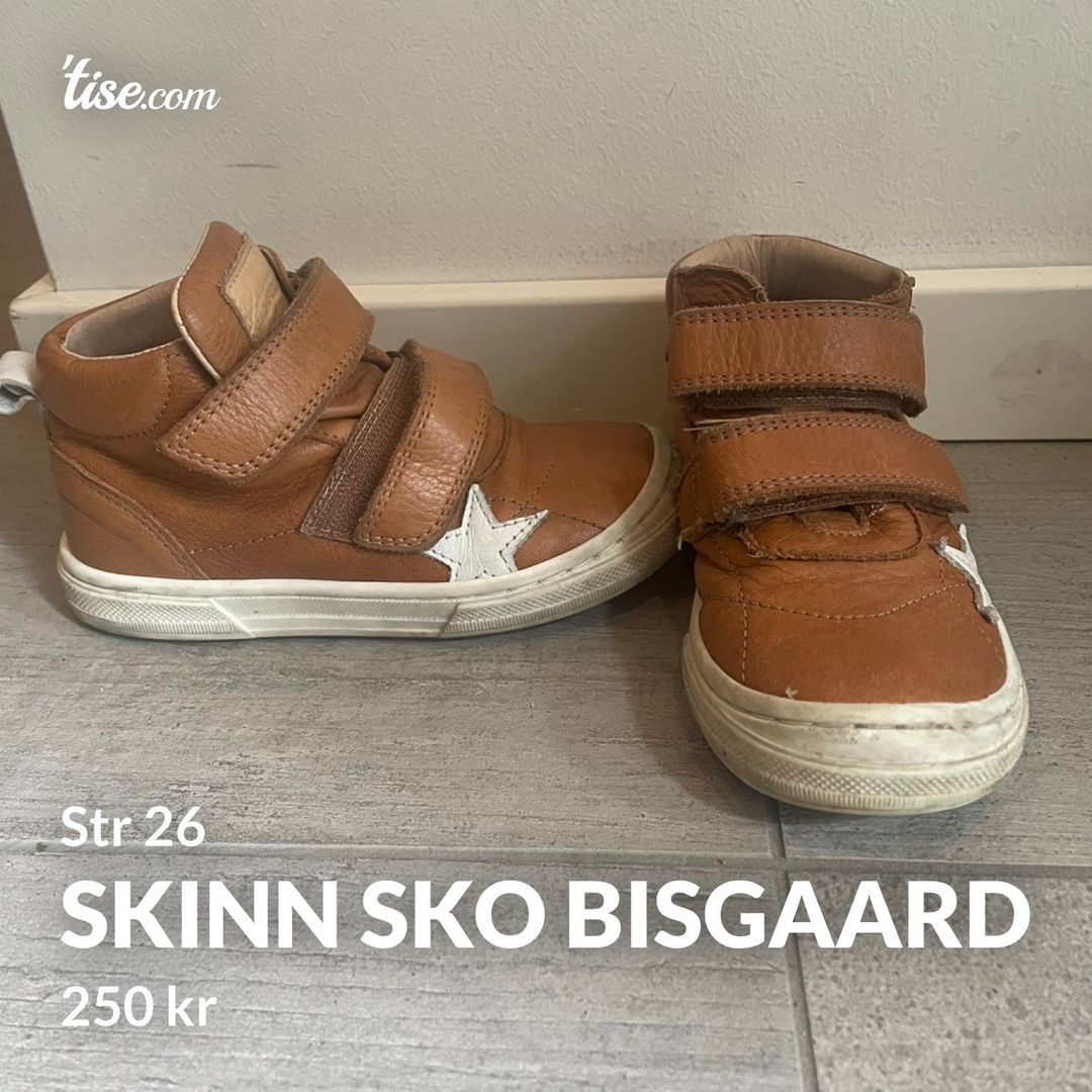 Skinn sko Bisgaard