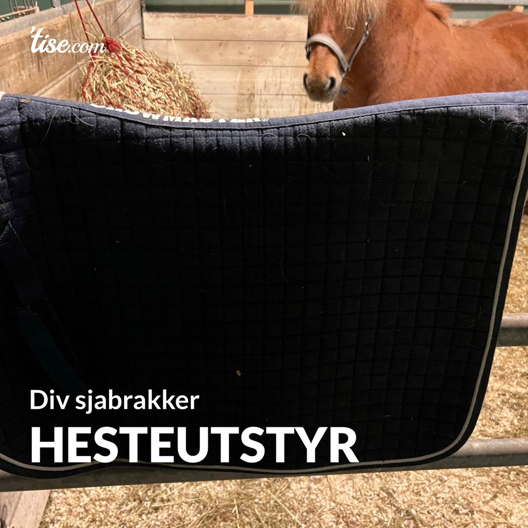 Hesteutstyr