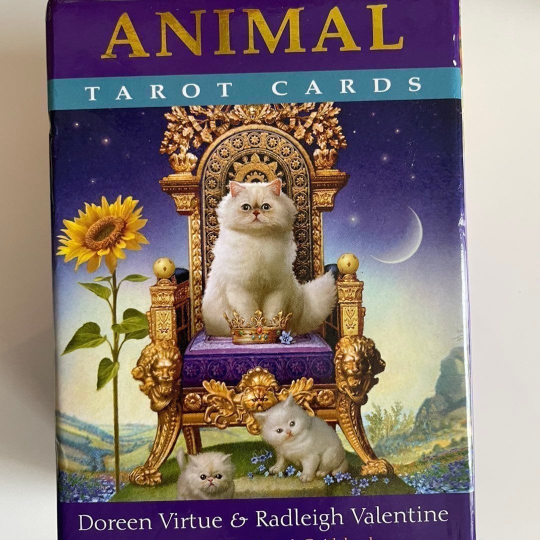 Animal tarot cards