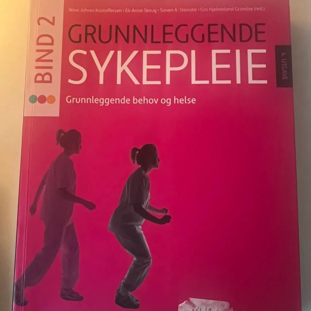 Grunnlegende sykepl