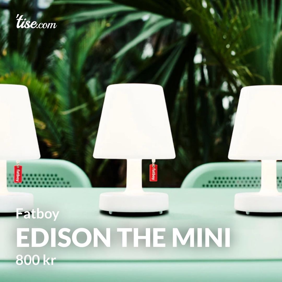 Edison The Mini