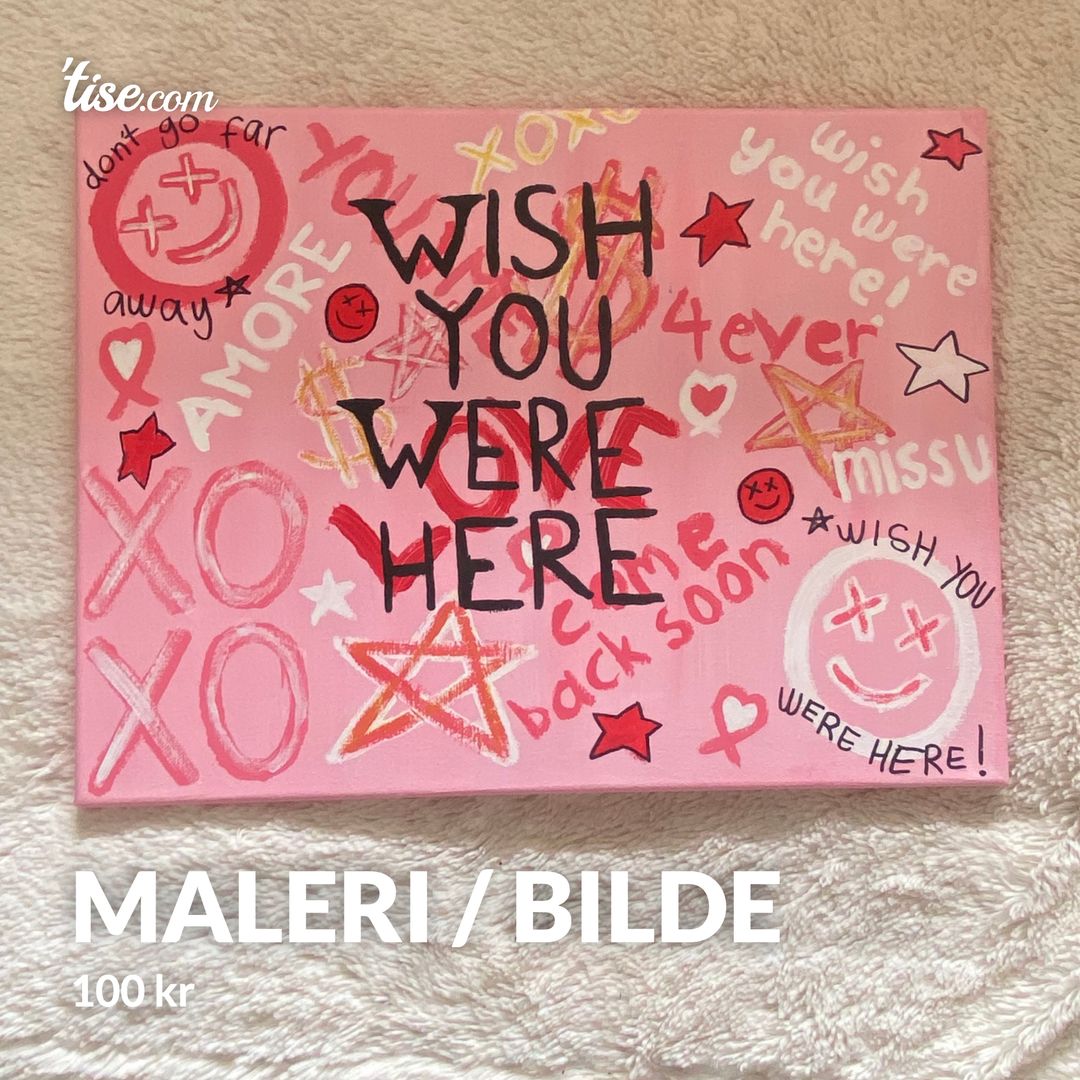 Maleri / bilde