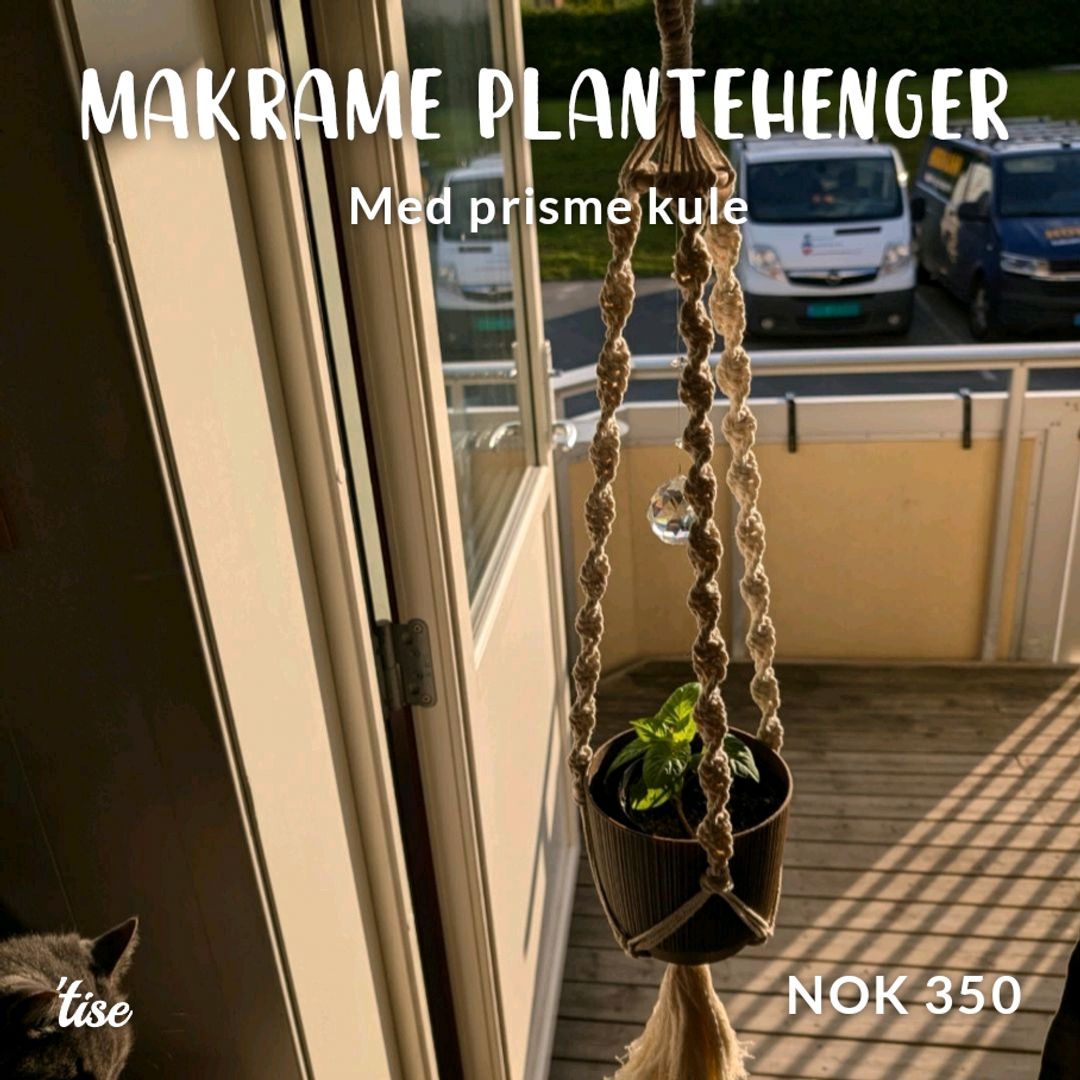 Makrame Plantehenger