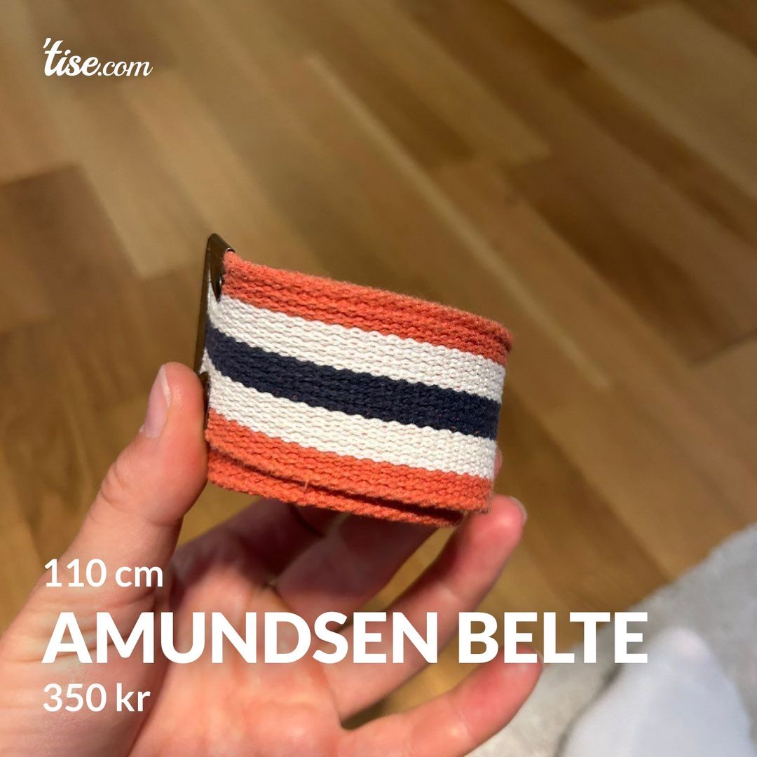 Amundsen belte