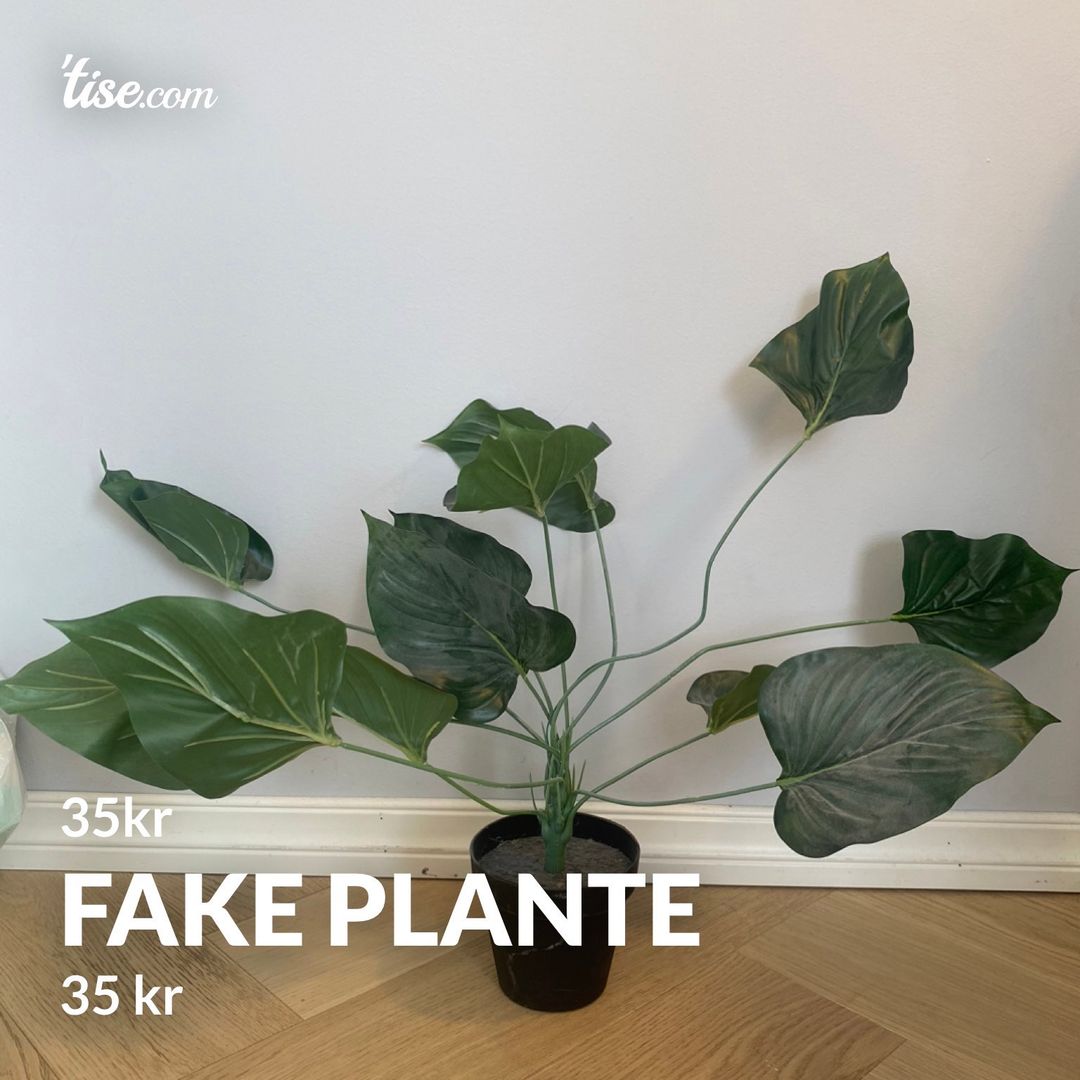 Fake plante