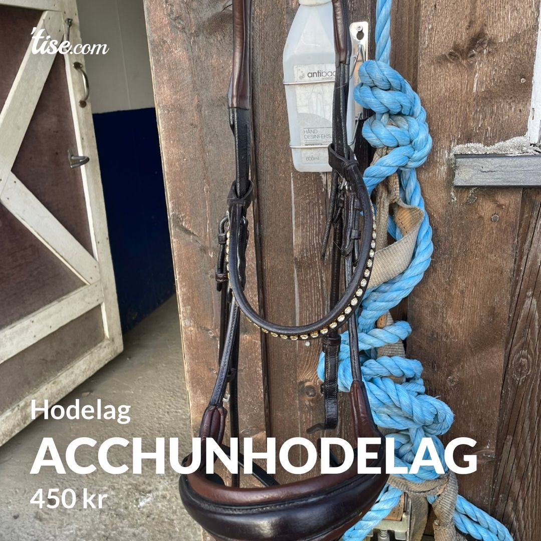 Acchunhodelag