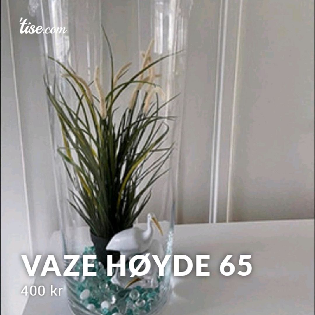 Vaze høyde 65