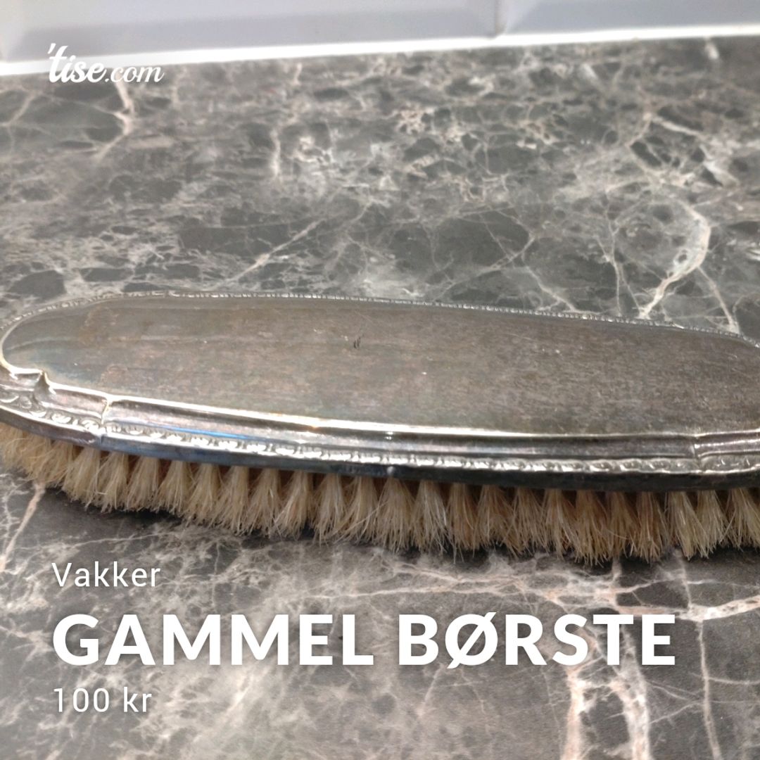 Gammel Børste