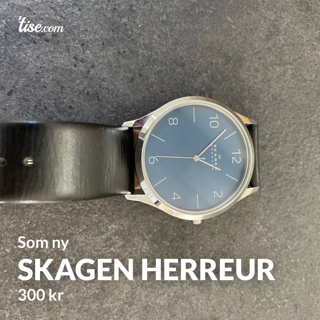 Skagen herreur