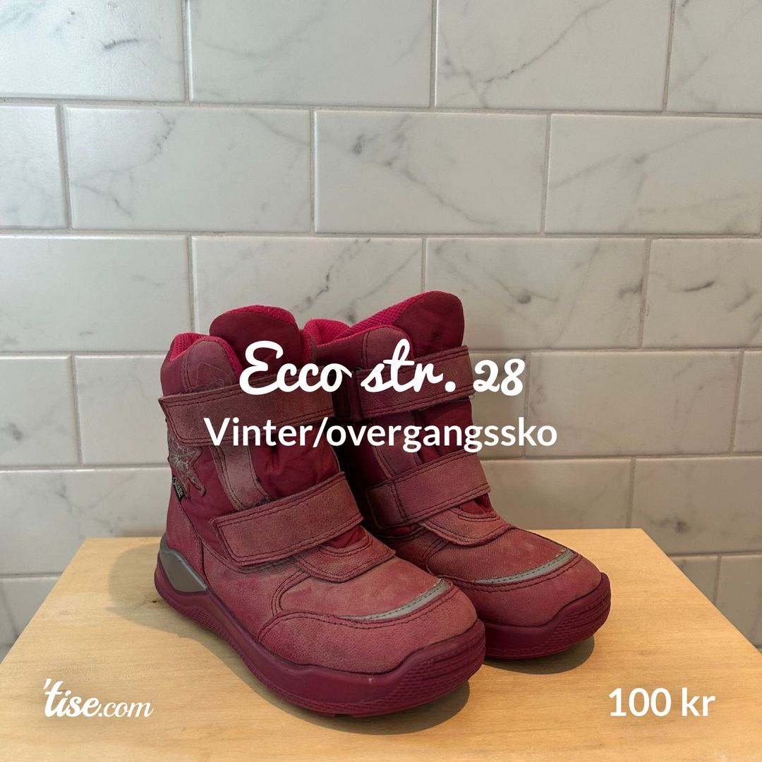 Ecco str 28