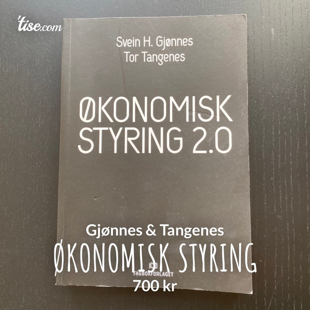 Økonomisk styring