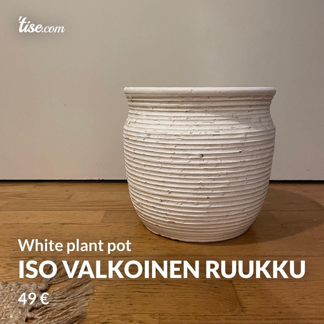 Iso valkoinen ruukku