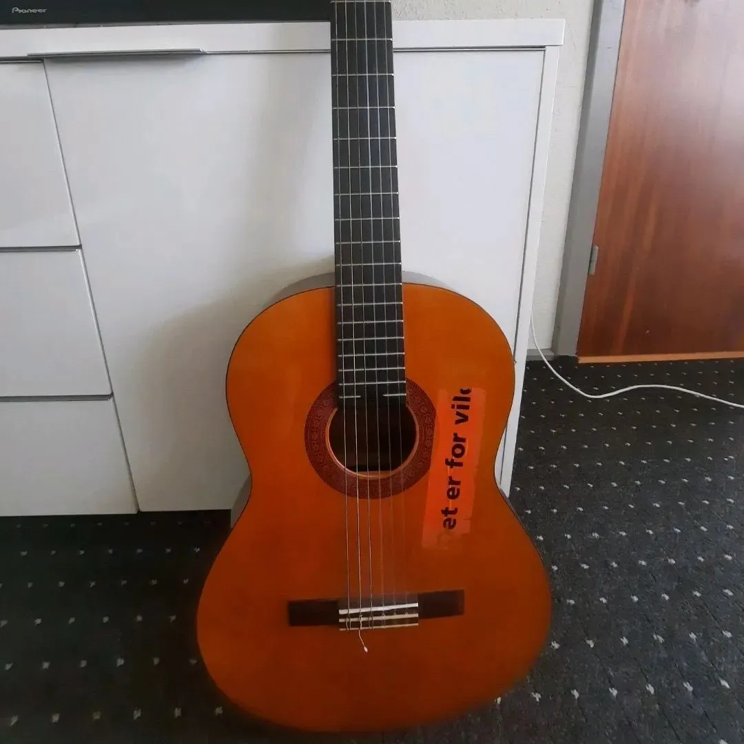 Guitar