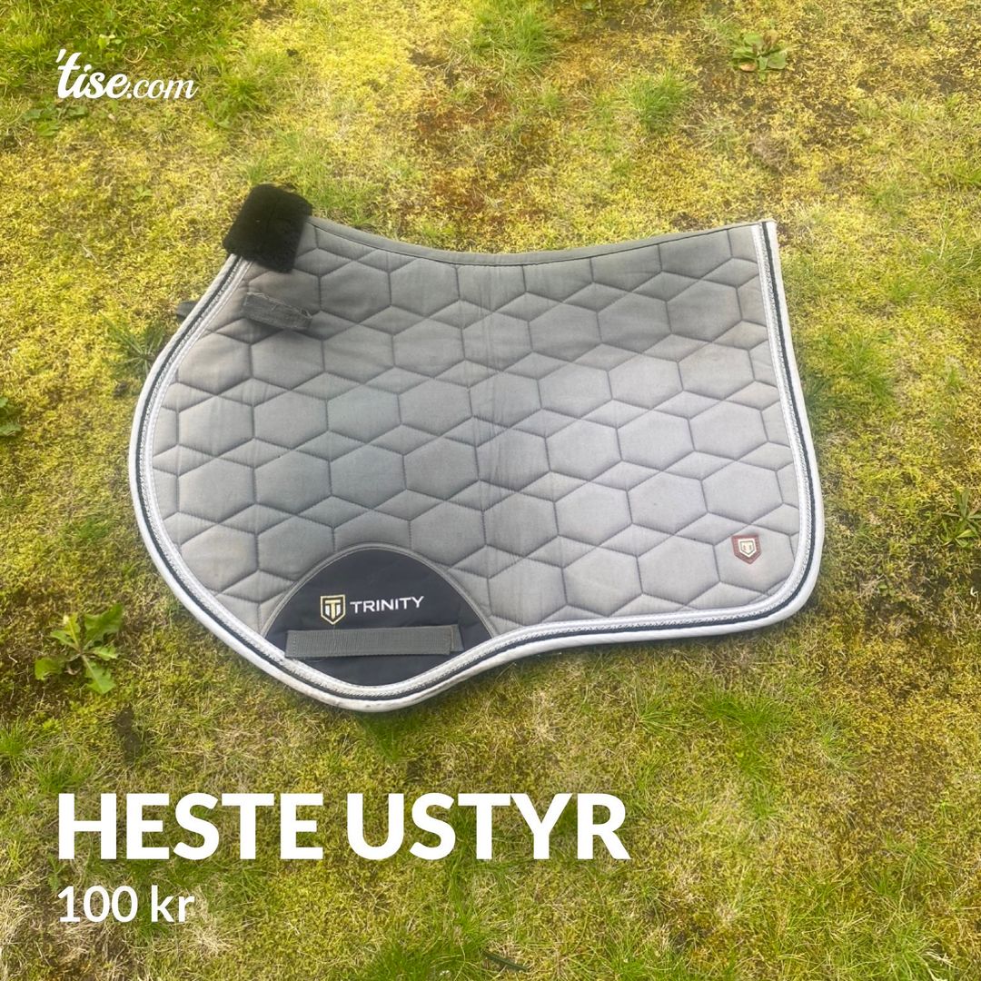 Heste ustyr