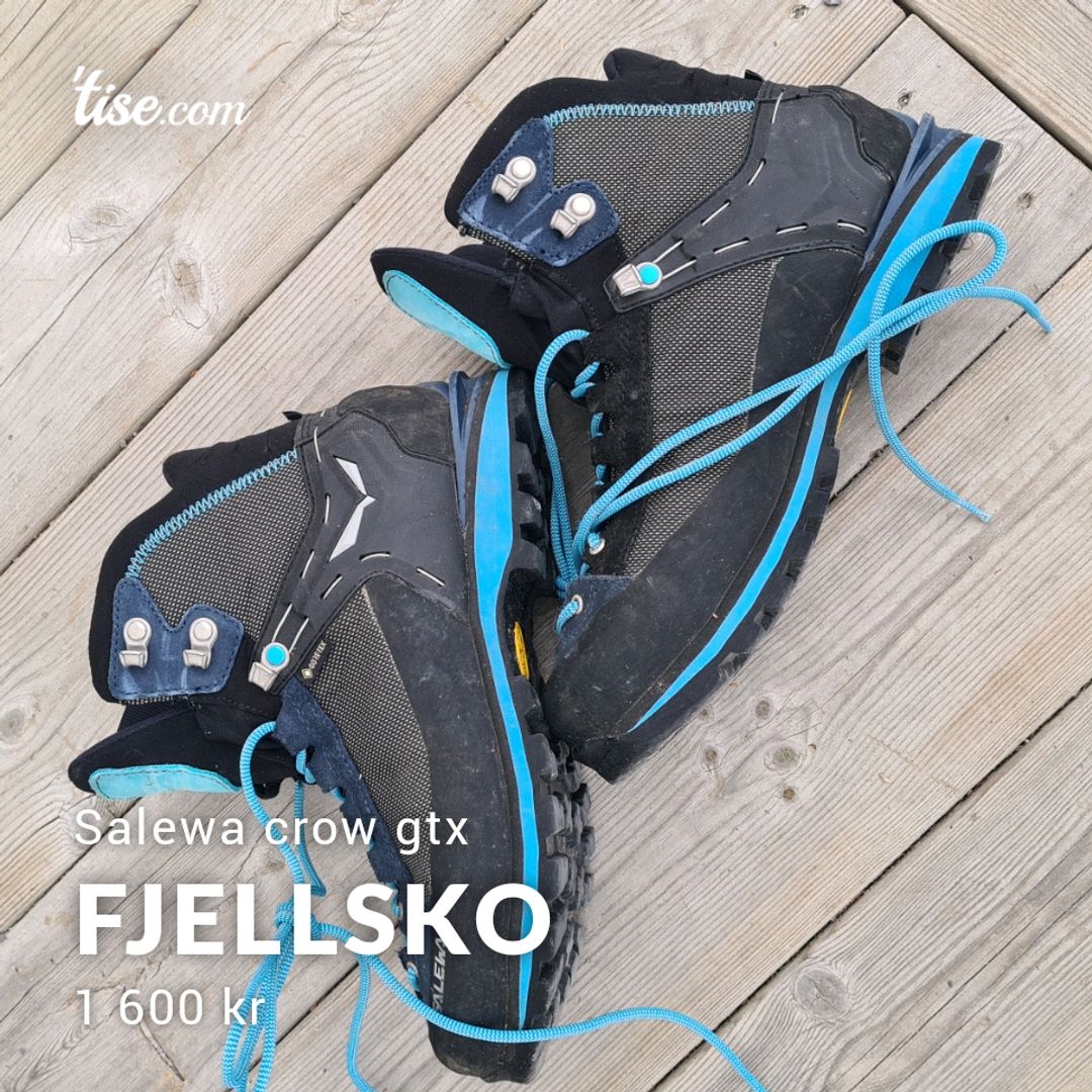 Fjellsko