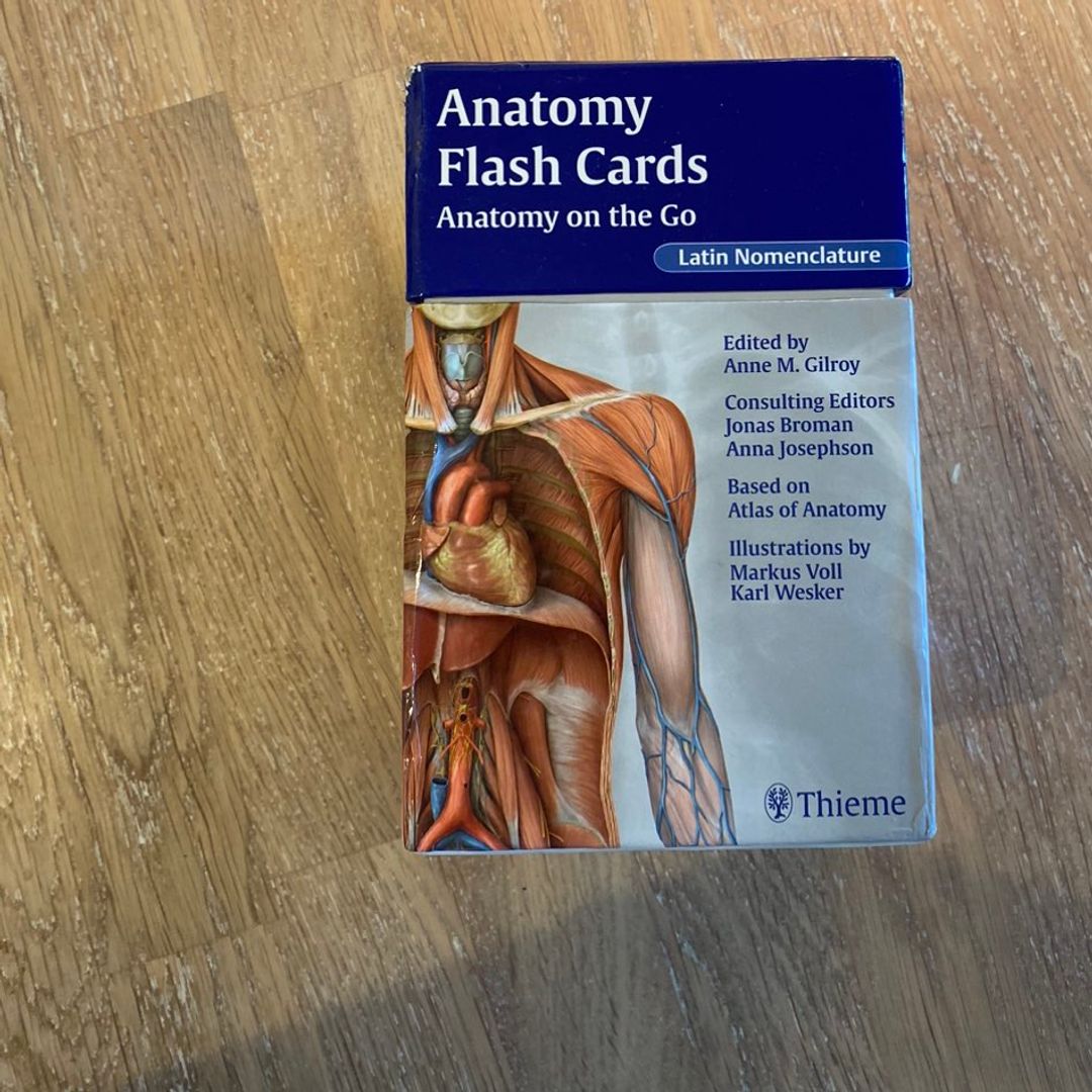 Anatomi flashcards