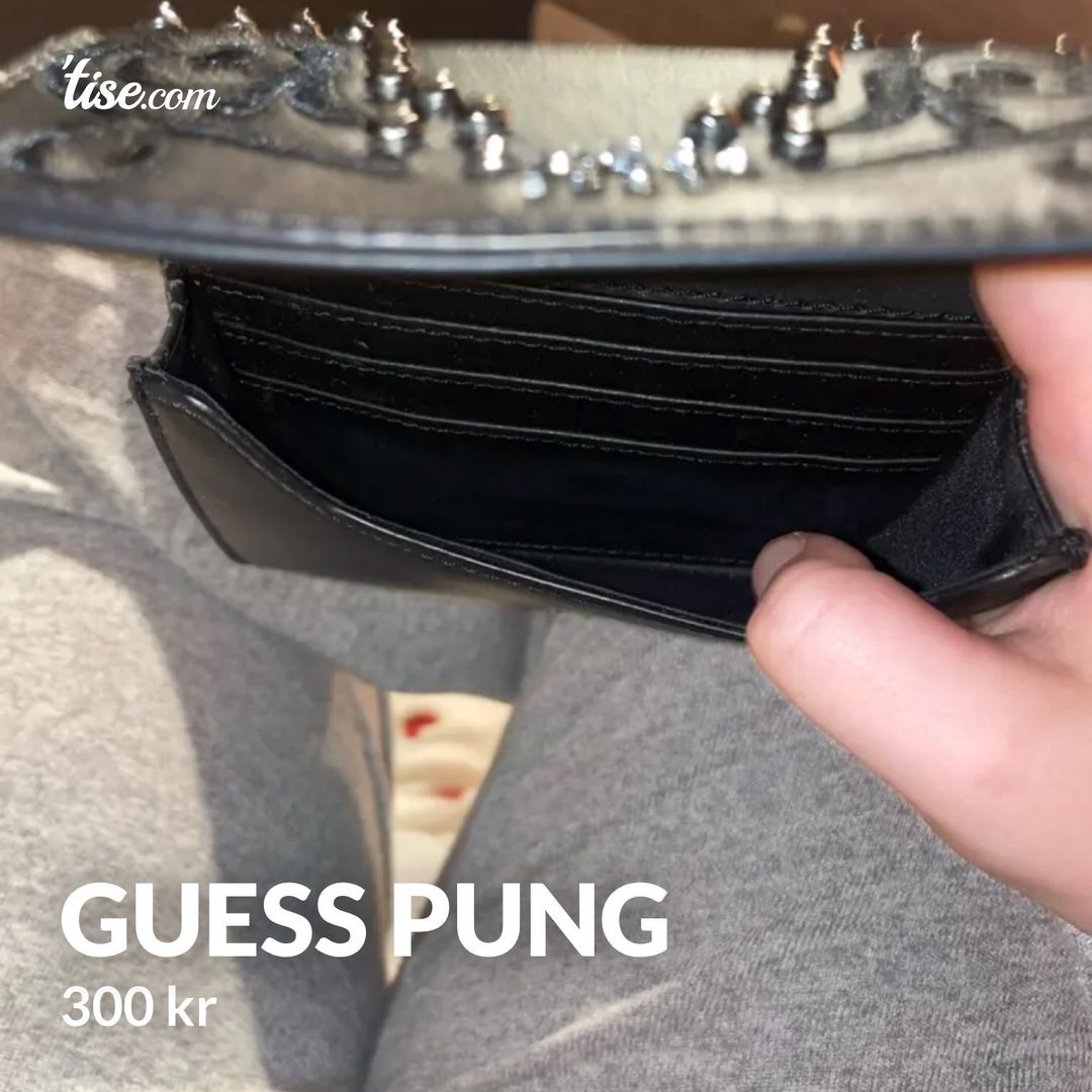 Guess pung