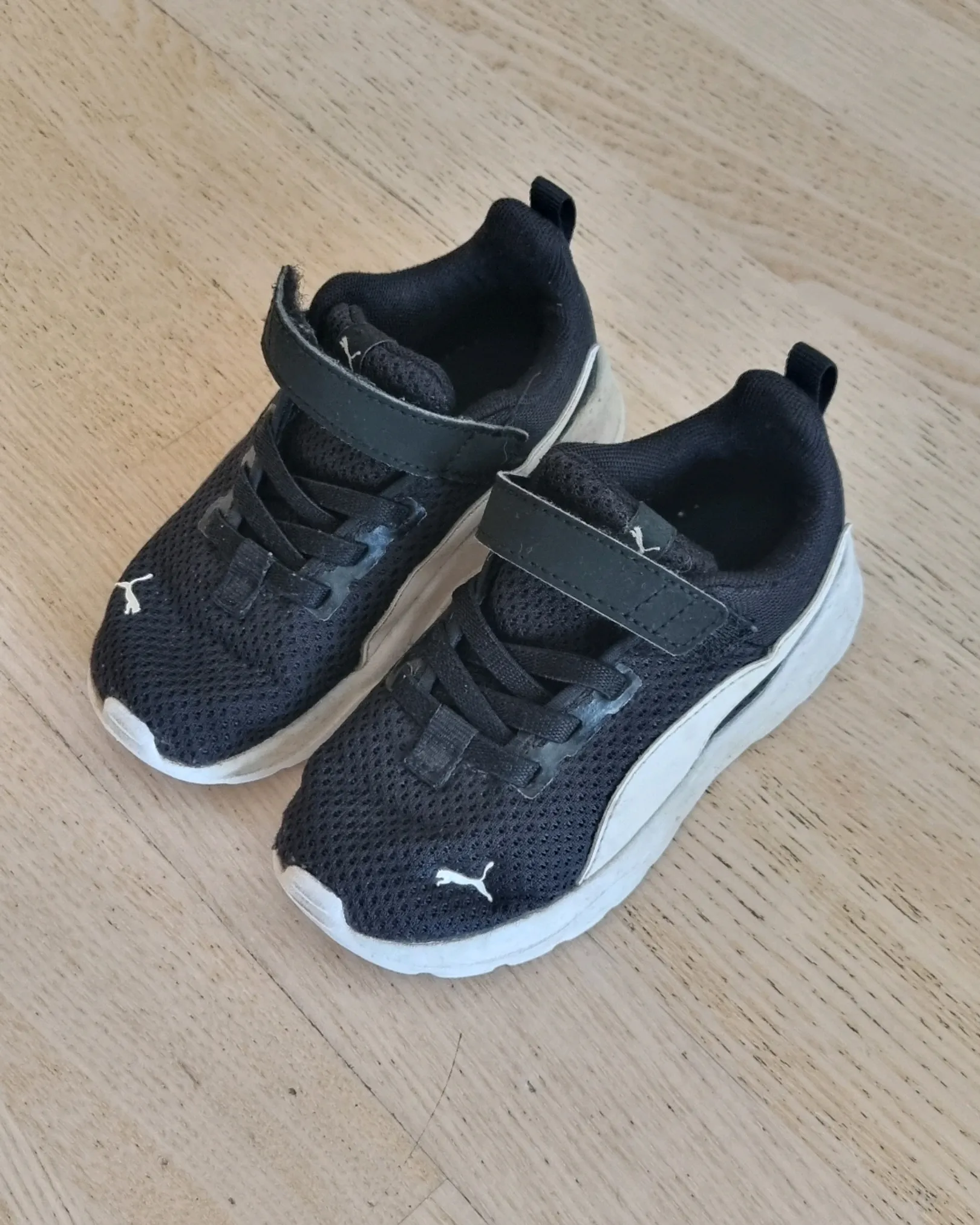 Joggesko Puma