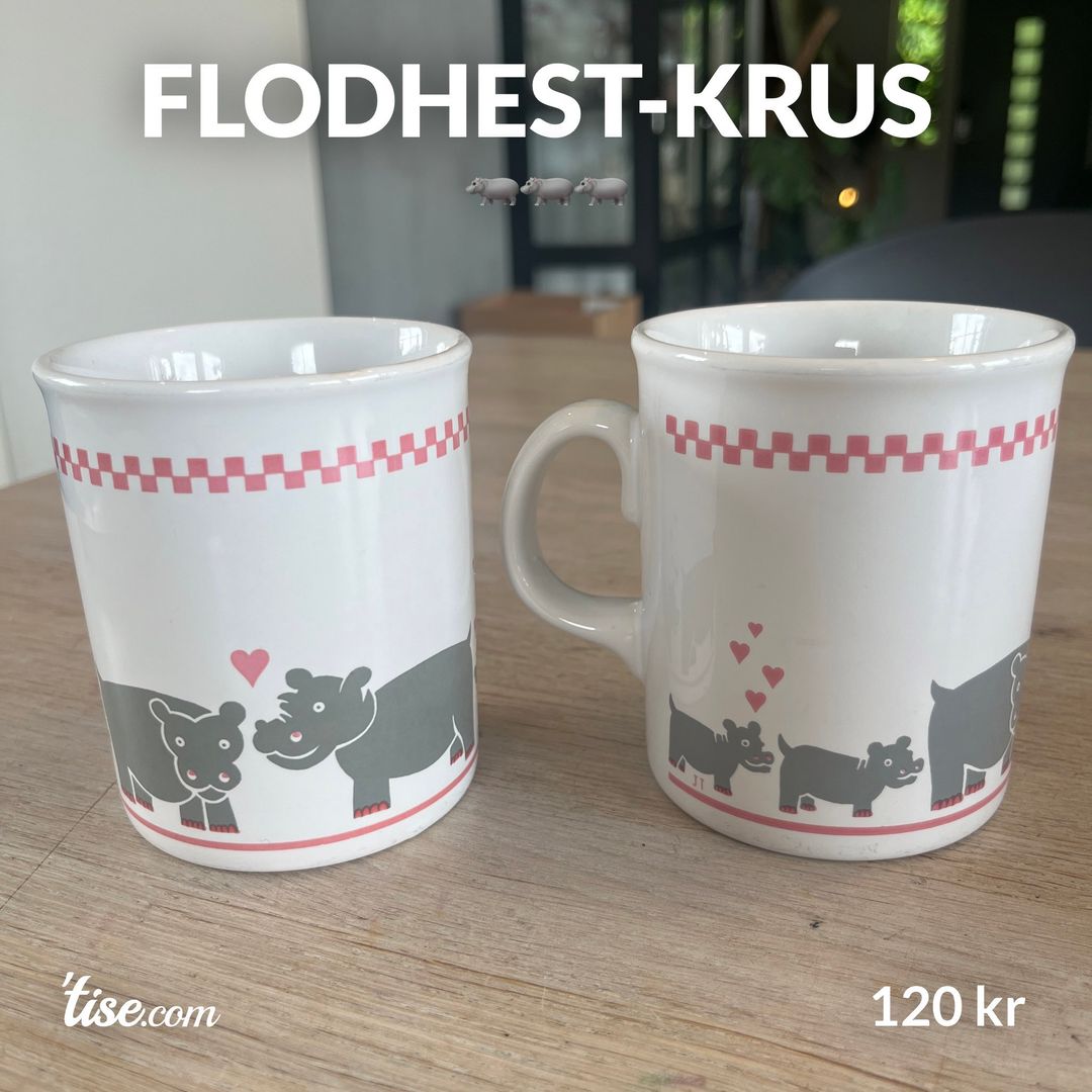 Flodhest-krus