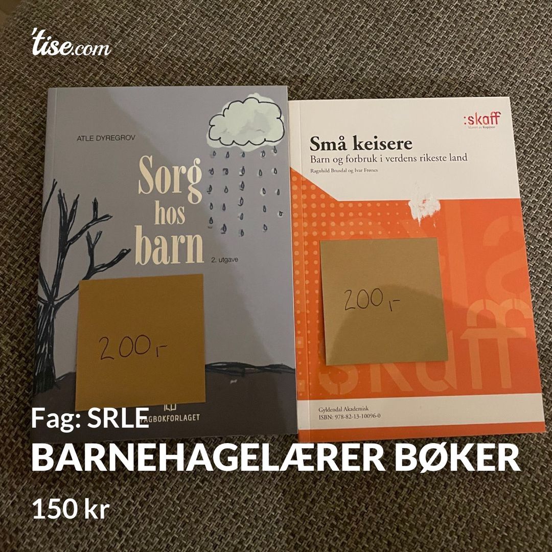 Barnehagelærer bøker