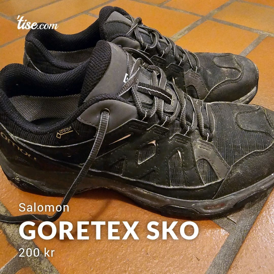 Goretex sko