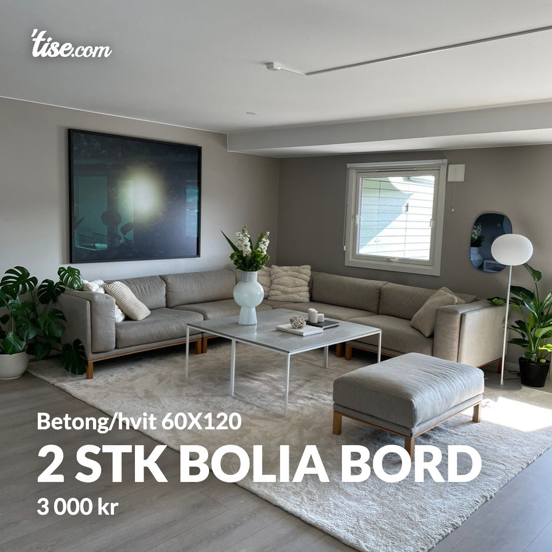 2 stk Bolia bord