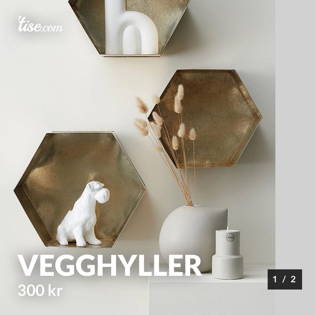 Vegghyller