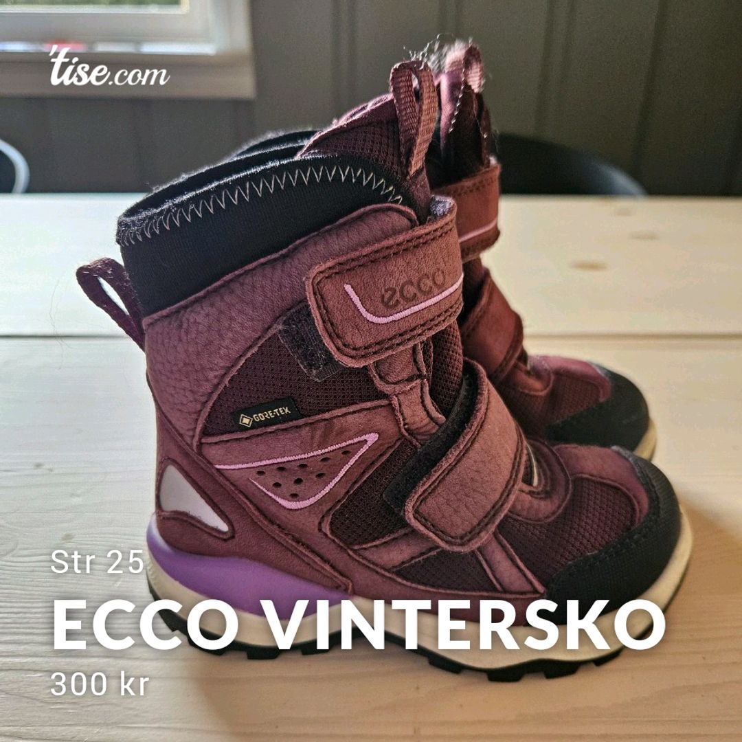 Ecco Vintersko