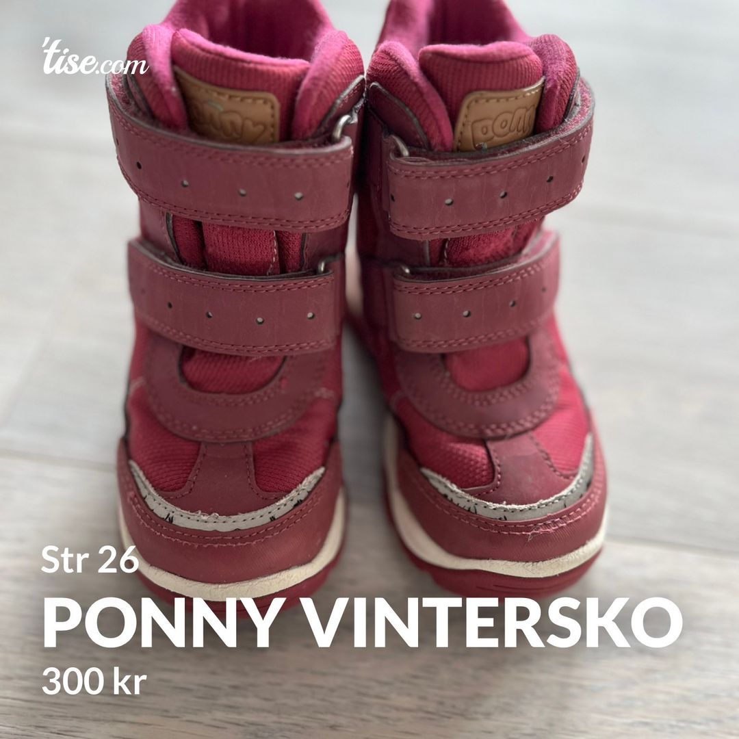 Ponny vintersko