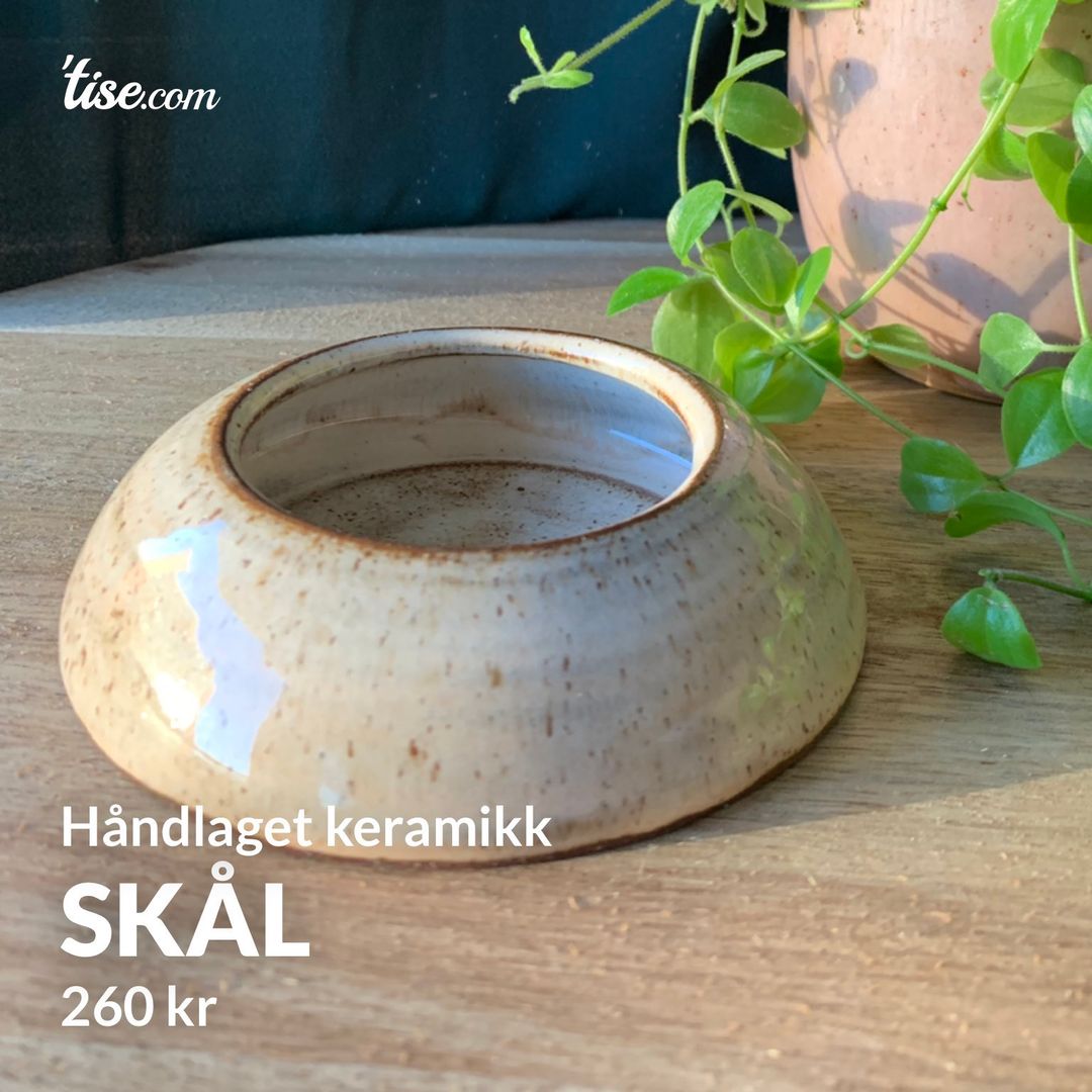 Skål