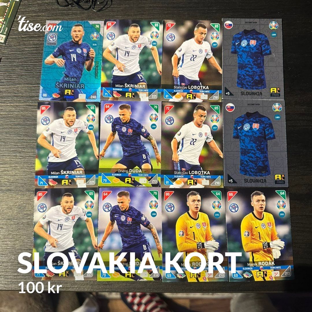 Slovakia kort