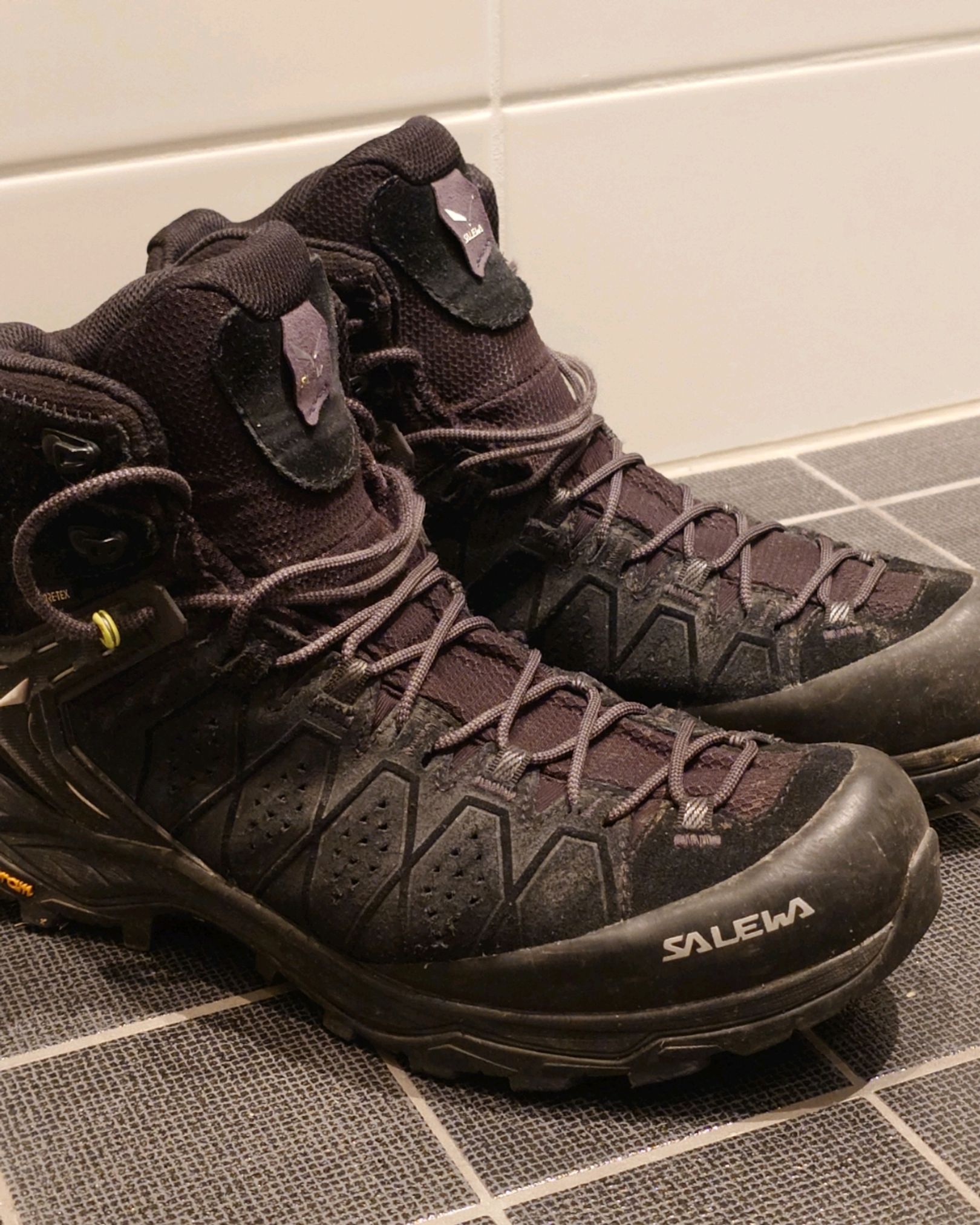 Alp Trainer 2 GTX