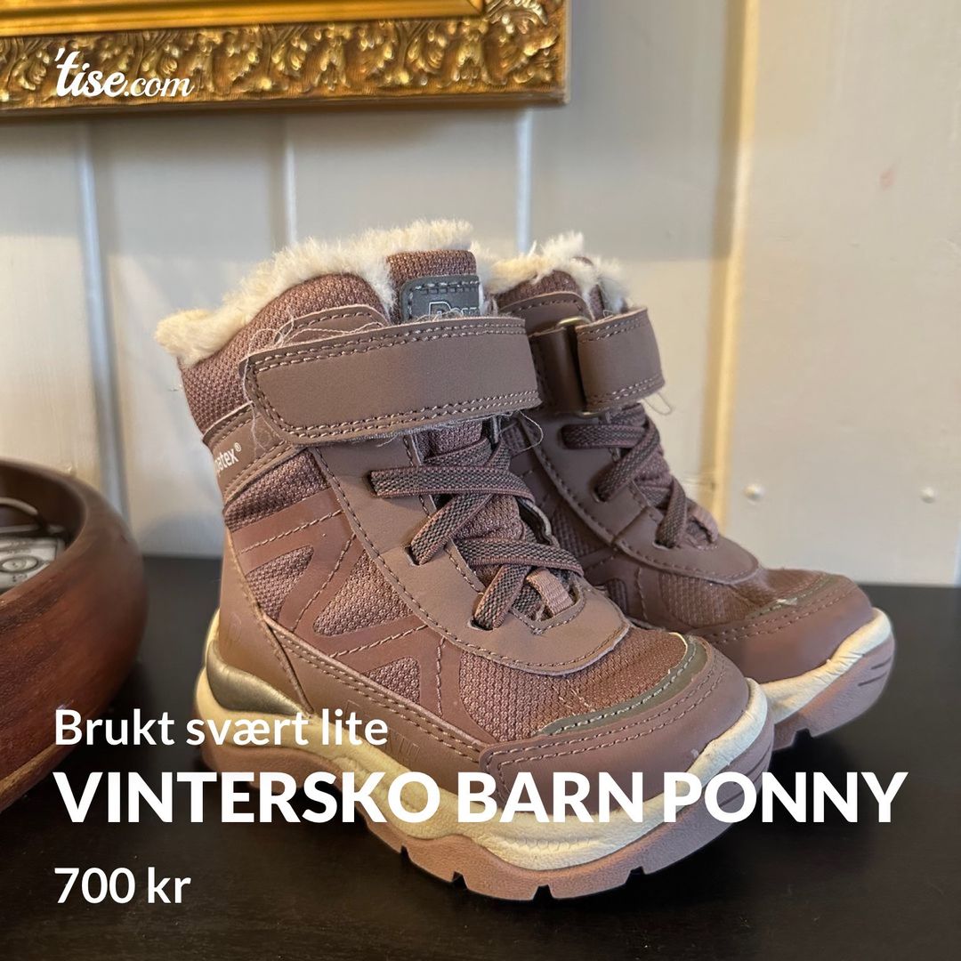 Vintersko barn ponny