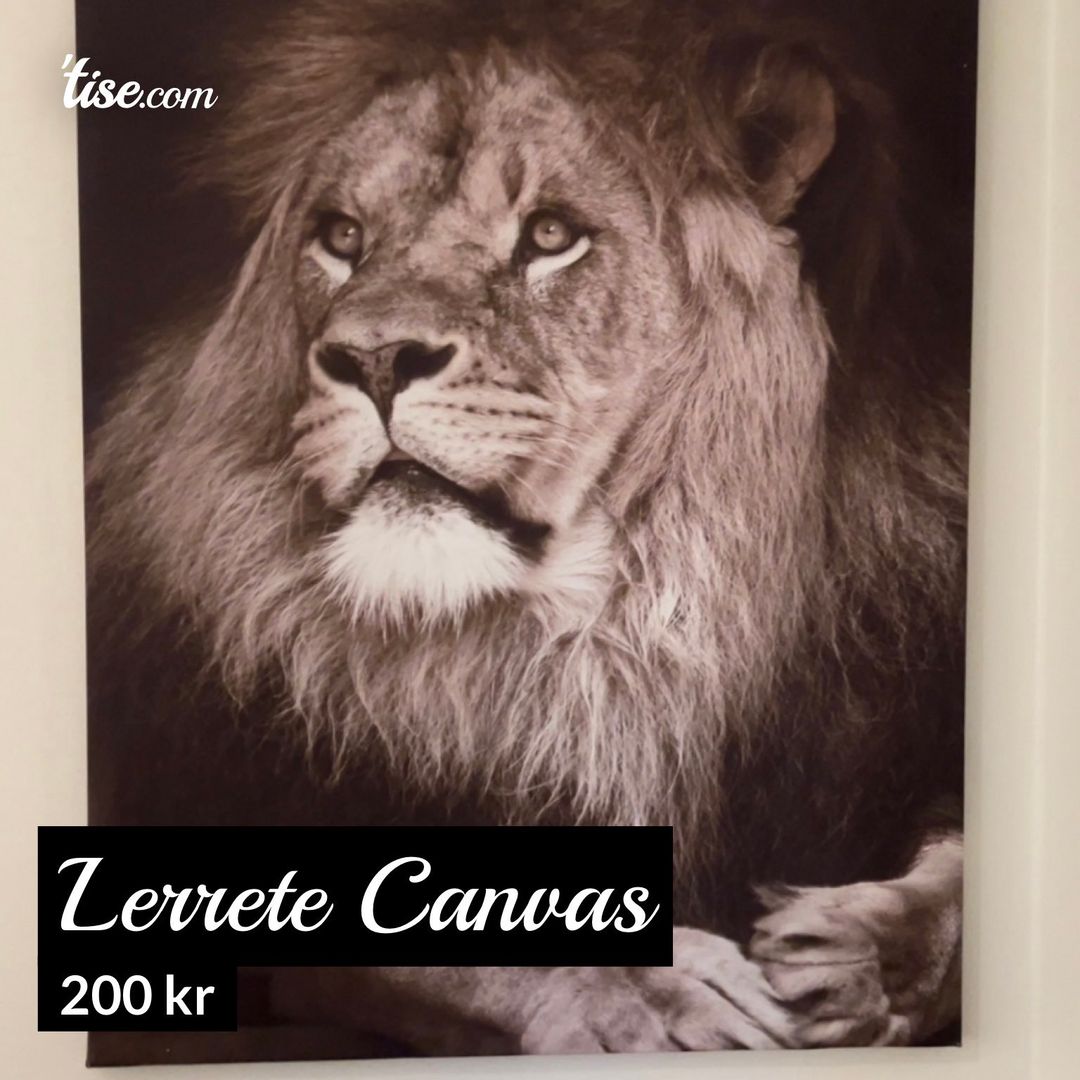 Lerrete Canvas