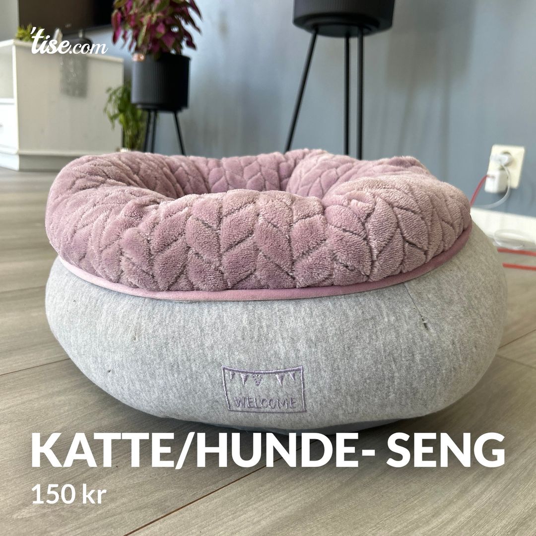 Katte/hunde- seng